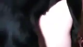 جنس مع كلب متوحش مع شقراء وقحة