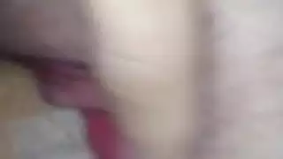 بخ راعية البقر شارع